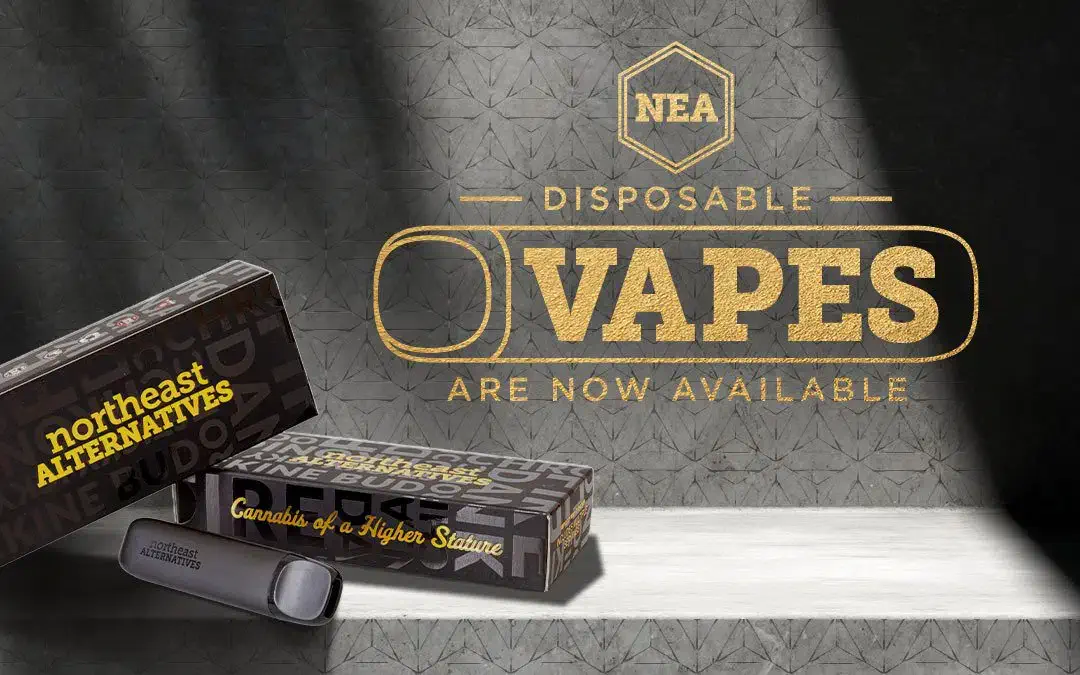 NEA Disposable Vapes Are Here!